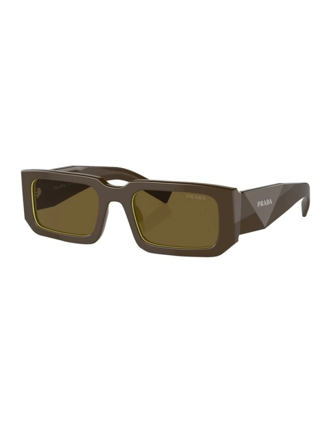 PR 06YS Sunglasses in Brown