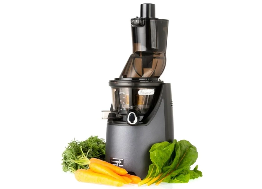 Kuvings EVO820 Evolution Cold Press Juicer Gunmetal