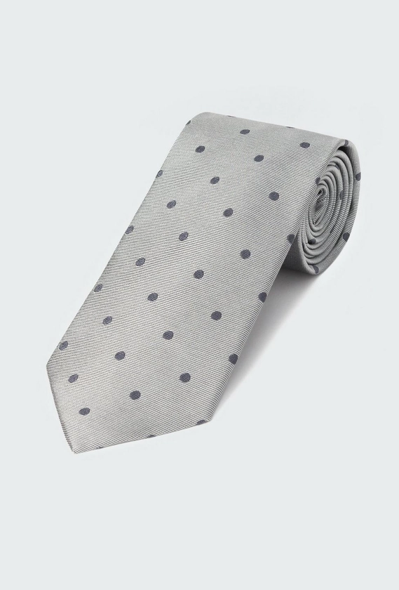 Gray Polka Dot Tie