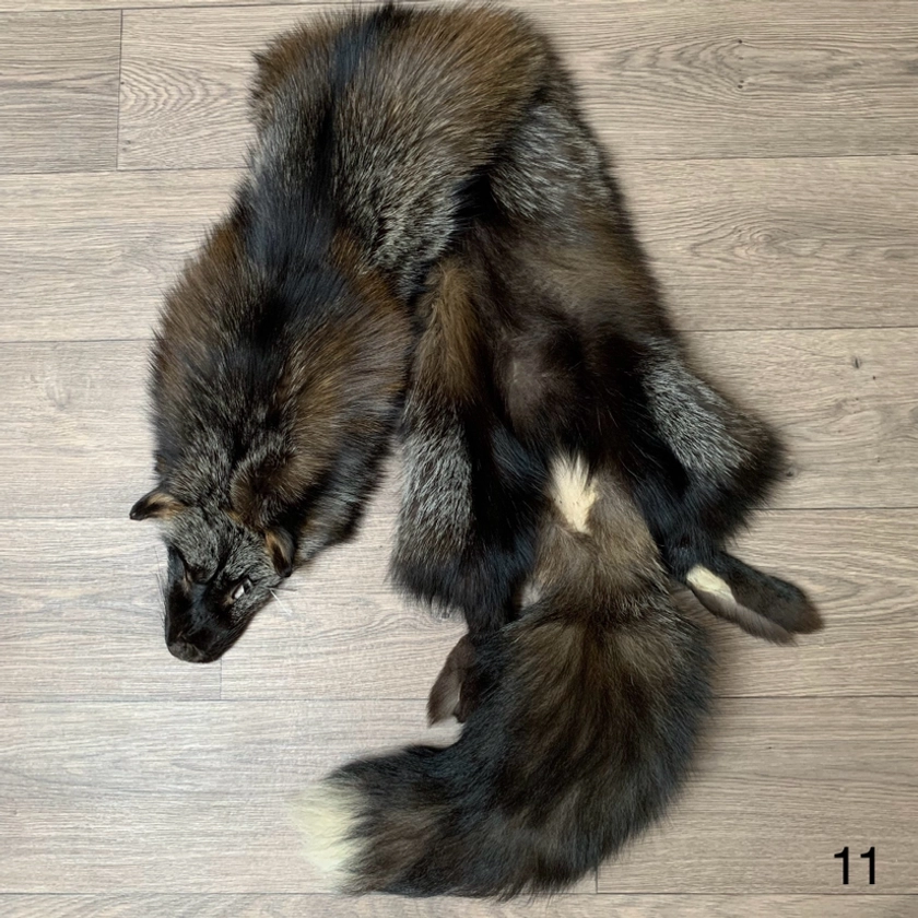 Gold Cross fox wallhanger pelt (11)