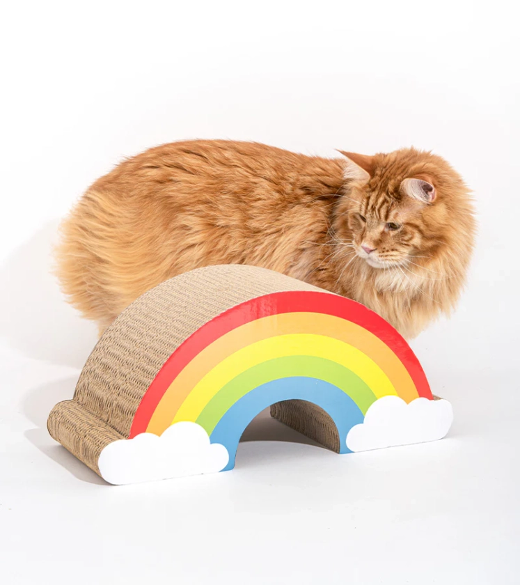 Griffoir arc-en-ciel pour chats