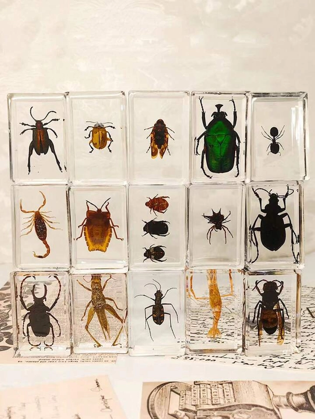 Creative And Unique Real Insect Specimen Resin Transparent Crystal Glue Amber Scorpion Spider Beetle Art Decoration Home Bedroom Decorative Object