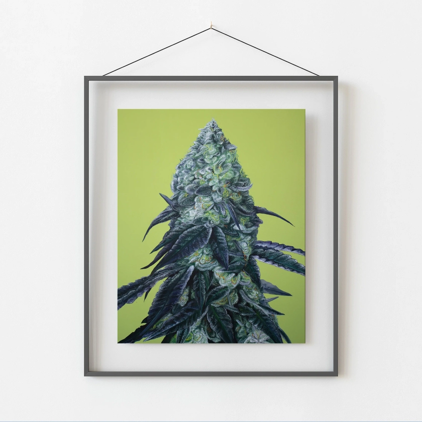 Animal Face 8"x10" Cannabis Print