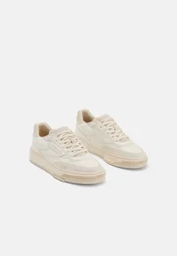 CLUB C LTD UNISEX - Baskets basses - cornsilk white flood