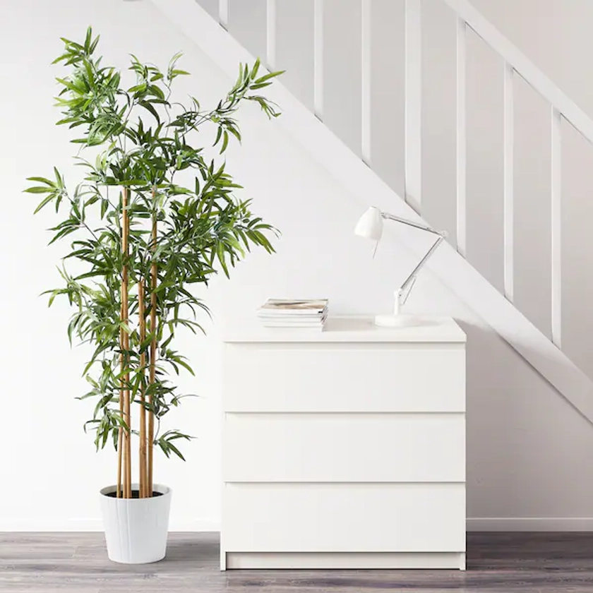 FEJKA plante artificielle en pot, intérieur/extérieur bambou, 23 cm - IKEA