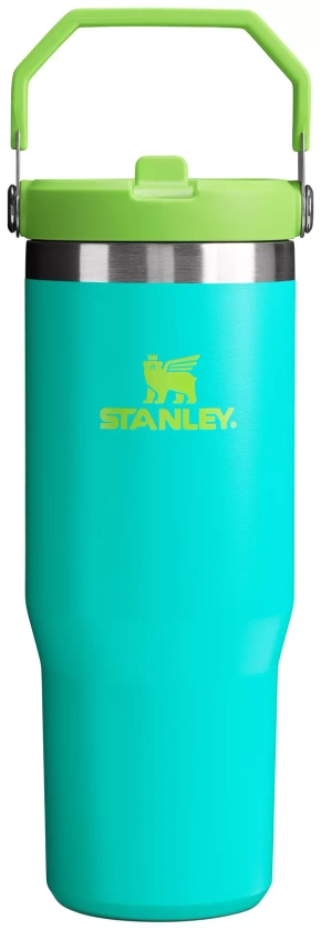 Stanley 30 Oz. IceFlow Tumbler with Flip Straw | Dick's Sporting Goods