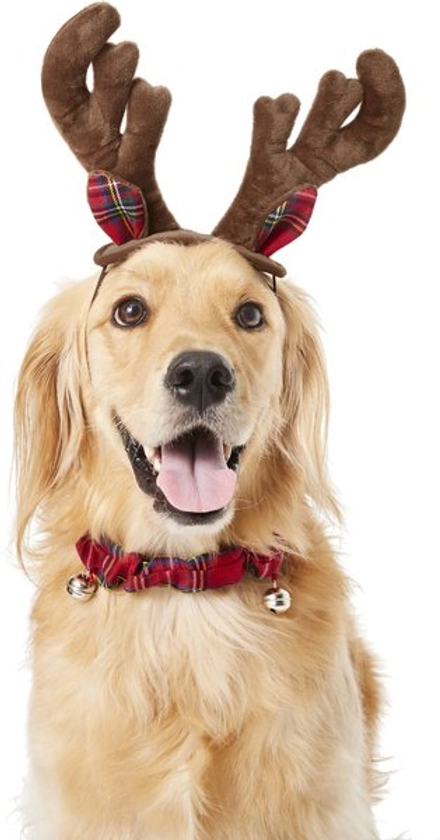 Frisco Holiday Antler Headband & Bell Collar Dog & Cat Costume