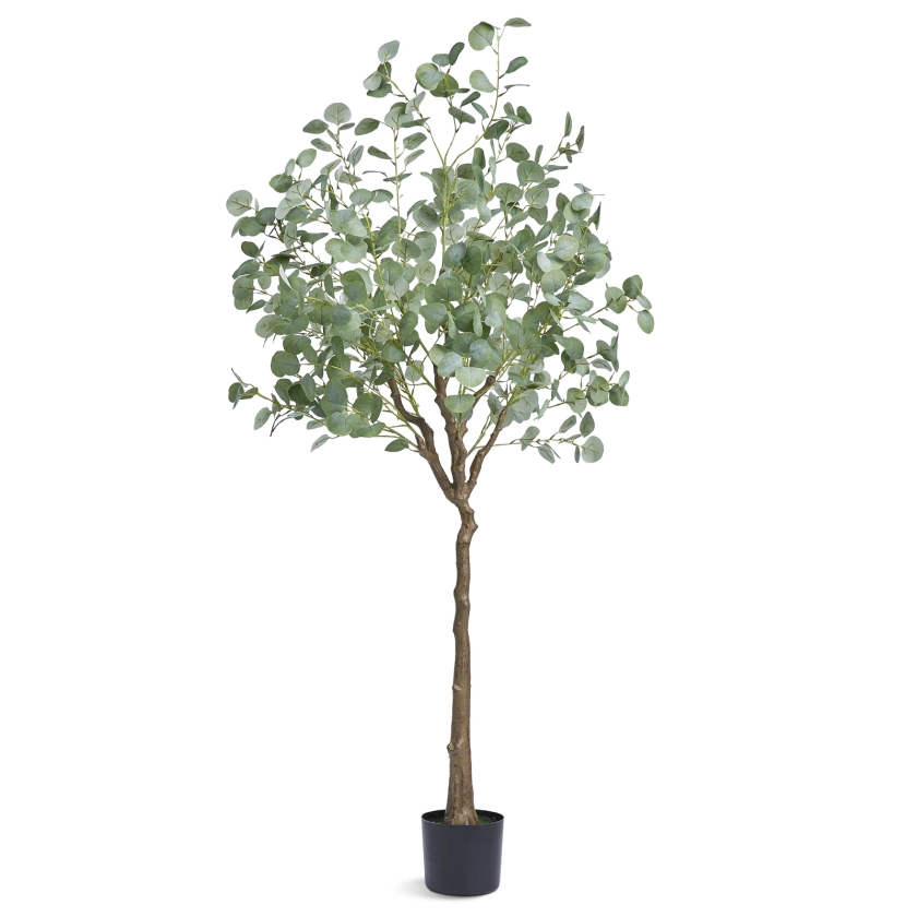 VEVOR Arbre Artificiel 181 cm Plante Artificielle PE Haut Eucalyptus Faux Arbre Vert avec Pot 170x145 mm Decoration de Style Fausse Plante pour Maison | Leroy Merlin