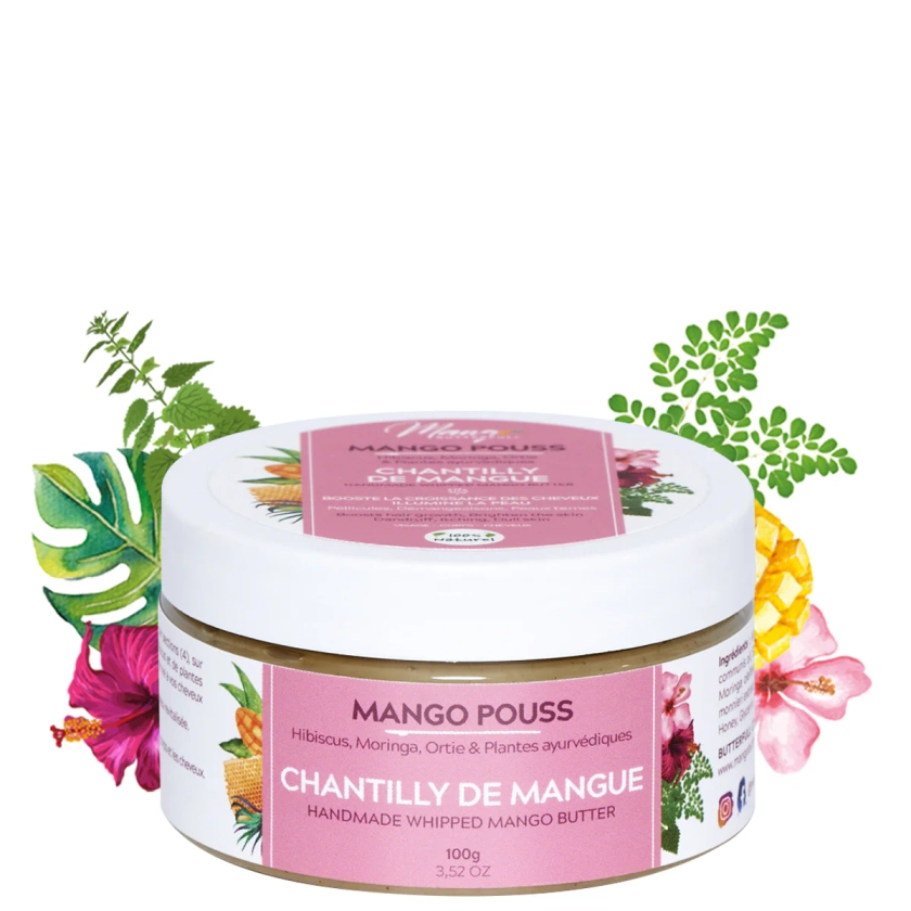 Chantilly de Mangue Mango pouss