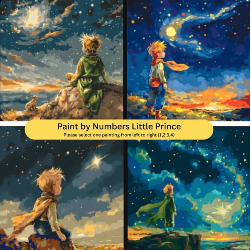 Le Petit Prince Peinture par numéros Kit adulte Peinture par numéros Kit peinture par numéros DIY peinture par numéro pour adultes encadrée Toile cadeau - Etsy France