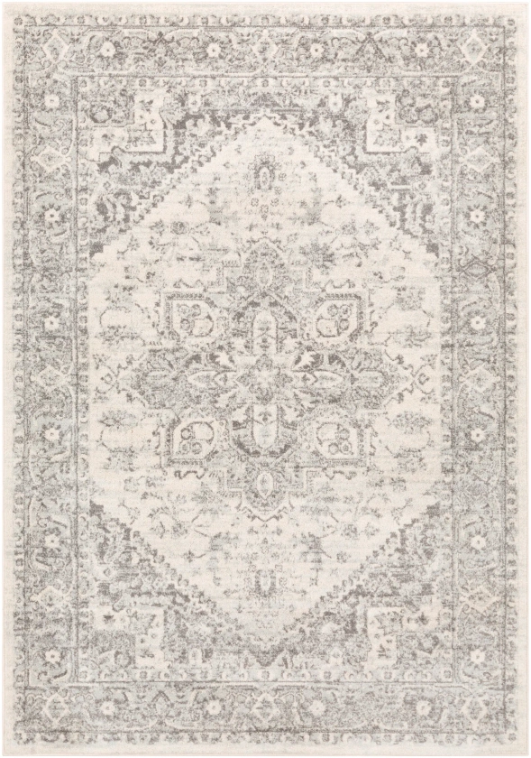 CHARTRES Tapis Vintage I Tapis Oriental I Gris, Beige