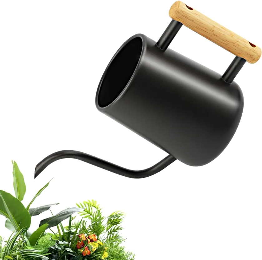 Arrosoir Petit 1L - Arrosoir pour Plantes Dintérieur avec Long Bec et Poignée en Bois Confortable - Arrosoir en Acier Inoxydable pour Plantes en Pot - Arrosoir de Jardin Noir pour I'intérieur