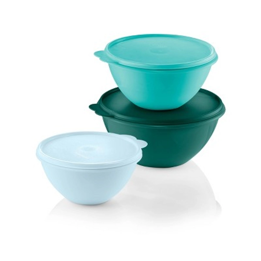 Tupperware Wonderlier 3pc Plastic Classic Bowls