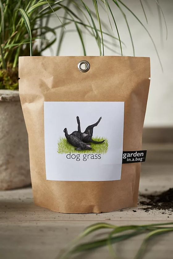 Dog Grass Grow Bag Kit