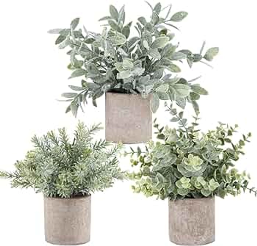 Der Rose 3 Pack Mini Potted Fake Plants Artificial Plastic Eucalyptus Plants Topiaries for Home Office Desk Farmhouse Room Decor