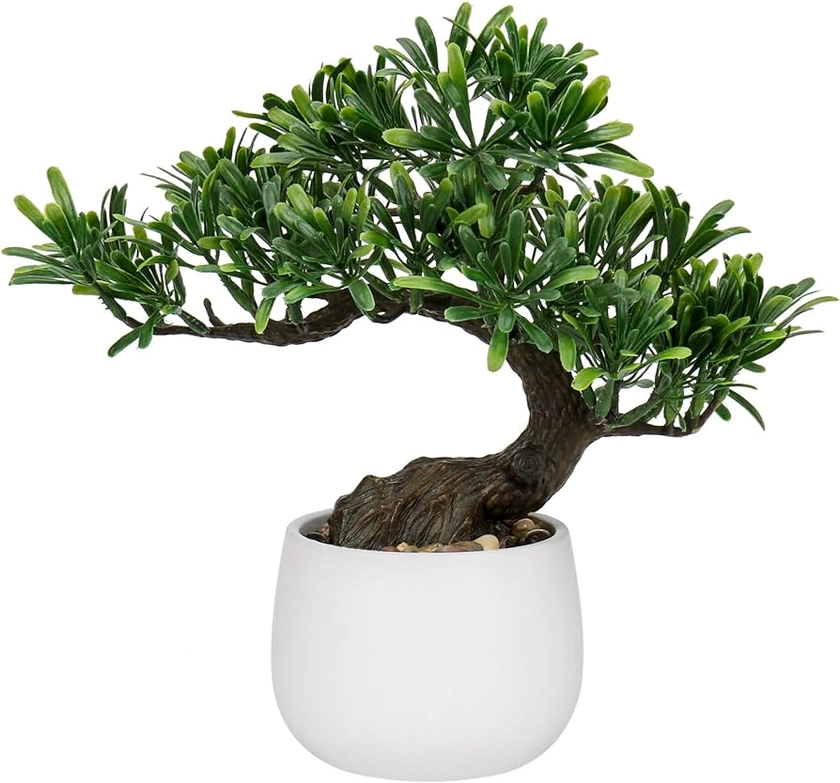 Amazon.com: Fake Bonsai Tree Zen Juniper Bonsai Plant 10” Tall Artificial Bonsai Trees with White Ceramic Pot Decorated with Pebbles Desk Plant Indoor Bonsai for Home Office Decor : Grocery & Gourmet Food