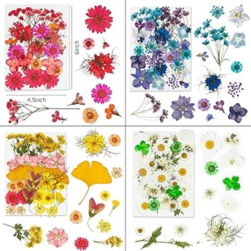 Dried Pressed Flowers, 170+ Pcs Mixed Dried Flowers for Resin, Bulk Natural Dry Floral Resin Fillers Decoration Accessories for DIY Crafts, Scrapbooking (Flower-1)
