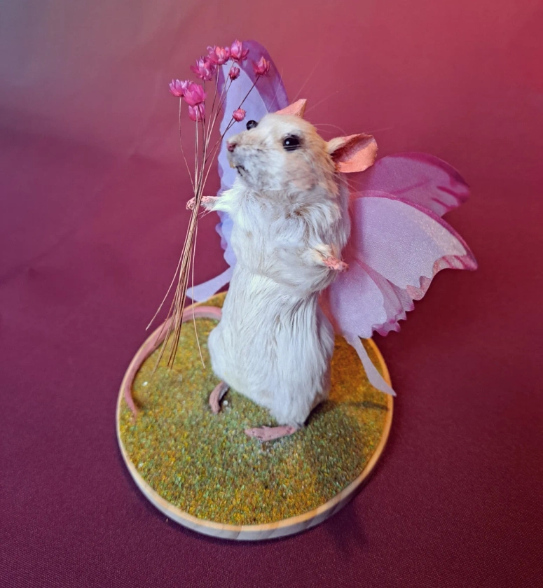 Cute Whimsical Mouse taxidermy with fairy wings butterfly. Real flowers. Oddity and curios. Real stuffed Rodent