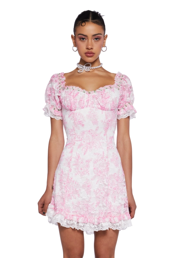 Sugar Thrillz Regency Floral Mesh Lace Ruffle Fit N' Flare Dress - Pink