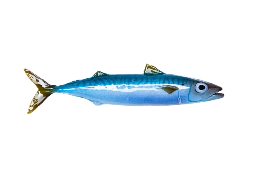 Ceramic fish #19: Atlantic mackerel