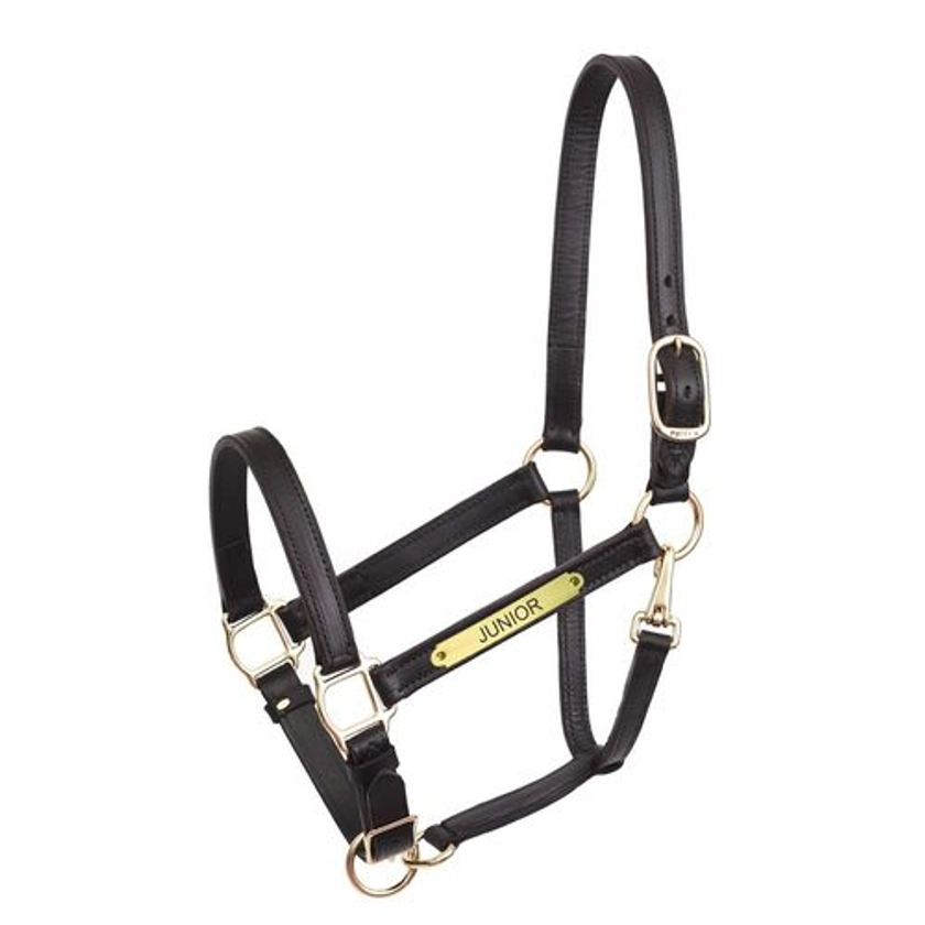 Perri’s® 1" Leather Turnout Halter with Nameplate | Dover Saddlery