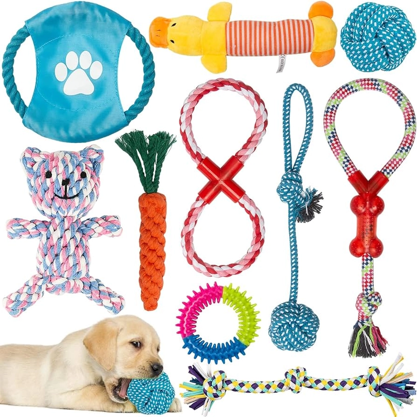 Labeol Puppy Toys from 8 Weeks Dog Toys Interactive Puppy Chew Toys 10Pcs Indestructible Tough Dog Rope Toys Natural Cotton Small Dog Toys for Small Puppy and Medium Dogs : Amazon.co.uk: Pet Supplies