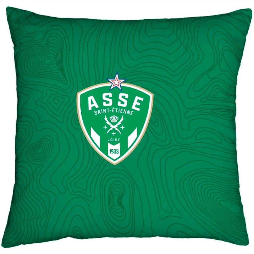 Coussin ASSE avec 2 faces différentes