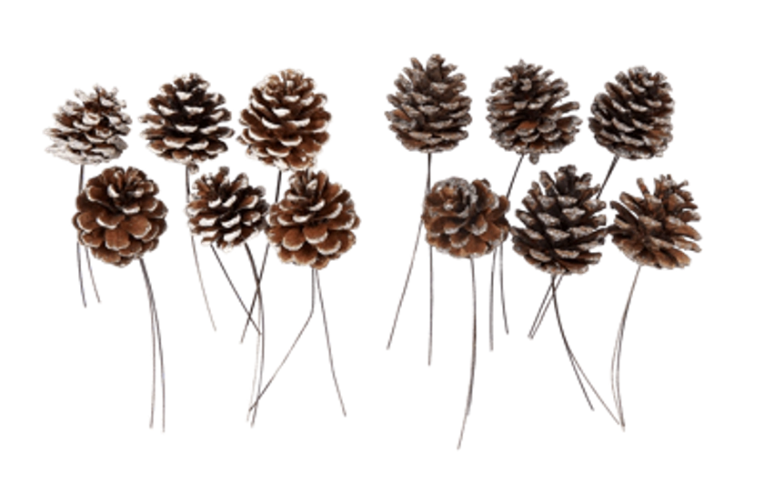 PINECONE Pommes de pin set de 6 2 couleurs blanc, argent Long. 10 cm | CASA