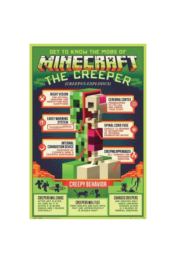 Wall Art & Pictures | Creeper Poster | Minecraft