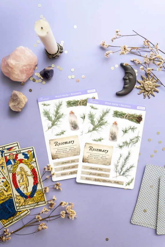 Rosemary Plant Stickers, Witchcraft Correspondences Rosemary Herb, Herbal Magic Stickers, Green Witch Grimoire Stickers, Herbology Stickers
