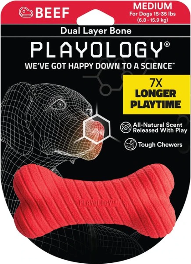 PLAYOLOGY Scented Dual Layer Bone Dog Toy, Medium, Beef Scented - Chewy.com