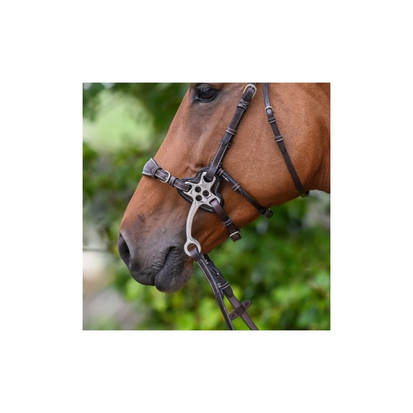 Protections Jump'In pour hackamore 0093