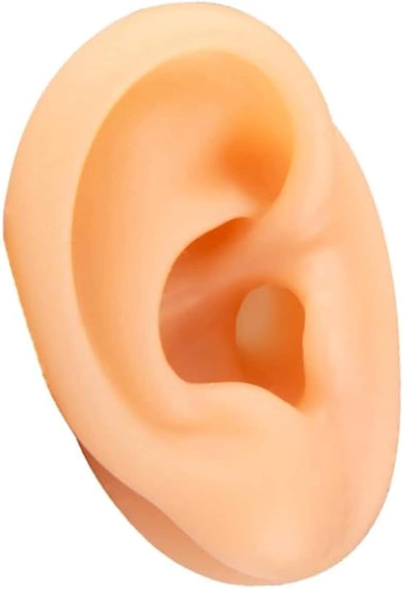 Human Ear Model Simulation Artificial Human Right Ear Silicone Ear Model for Ear Picking, Ear Piercing Teaching, Acupuncture