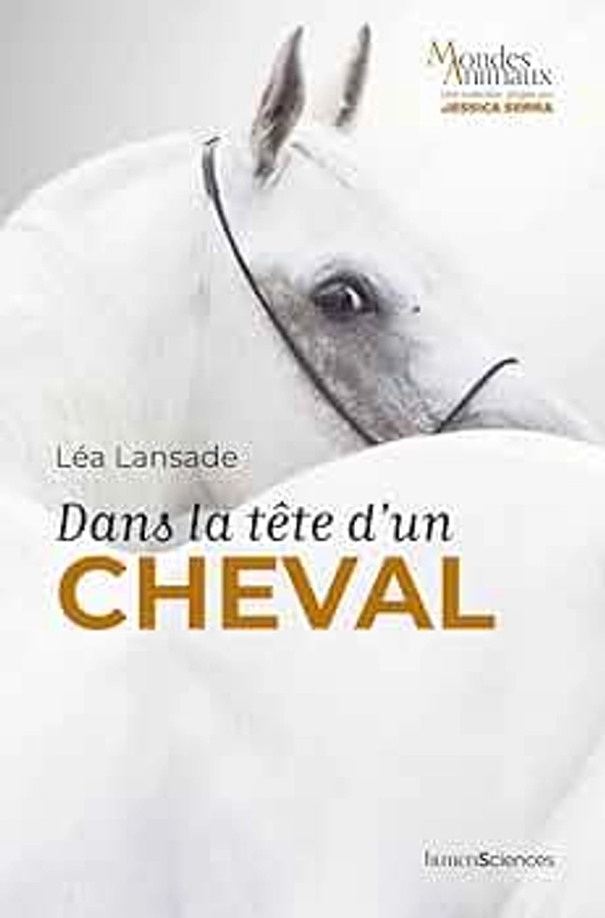 Dans la tête d'un cheval