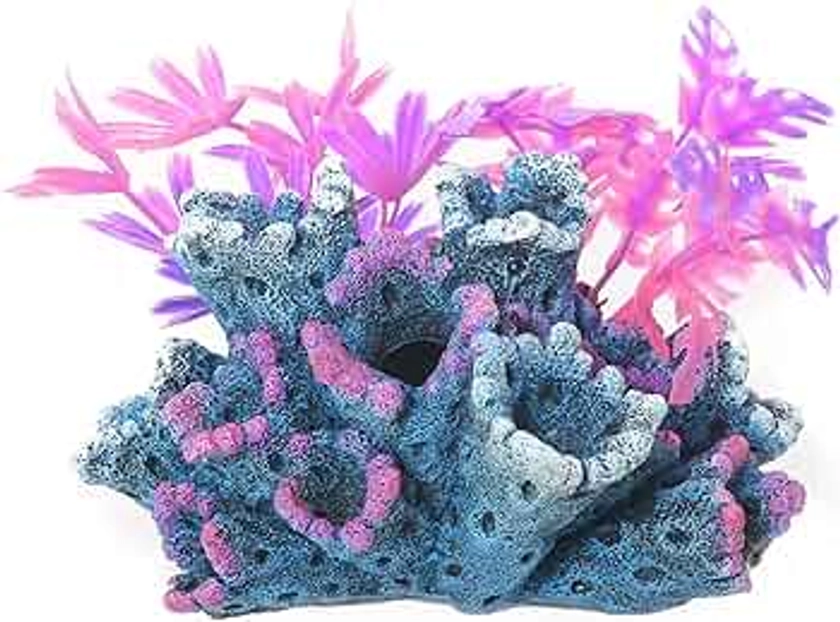 Rosewood Blue Ribbon FANTASY REEF WITH PLANTS