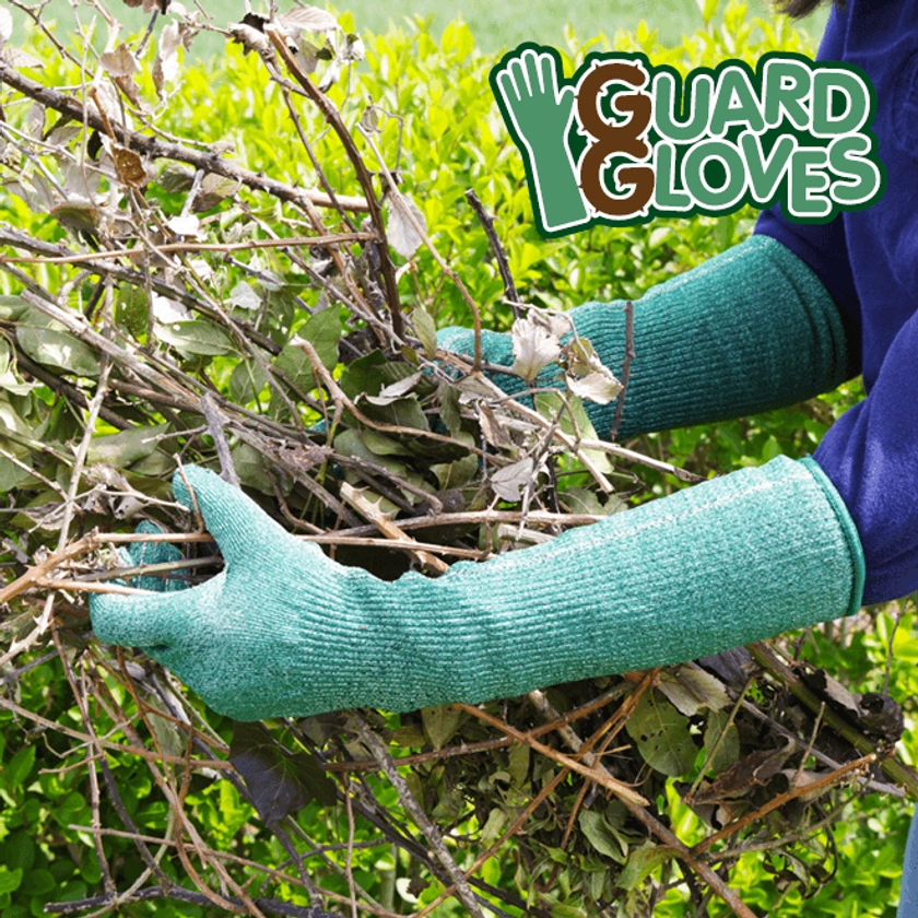 Guard Gloves