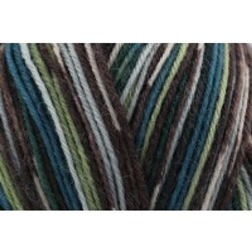 Stylecraft Head over Heels Colours of the World Australia - Daintree Forest (3817) - 100g