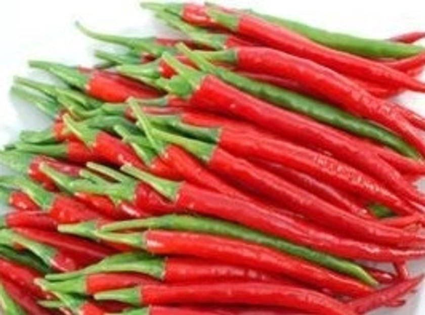Hot Pepper F1 Red Flame - 10 Seeds