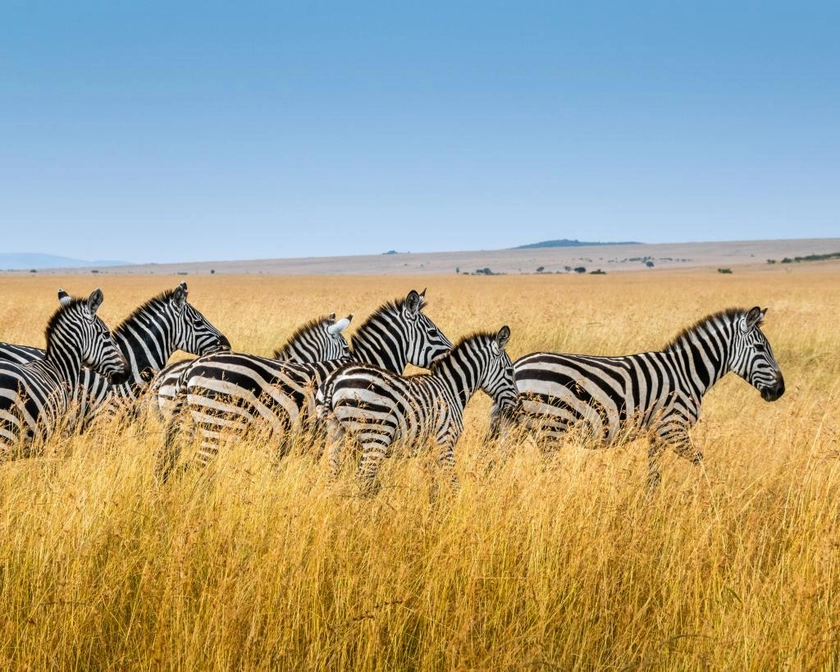 South Africa Service Trip & Safari for Students | Travel For Teens