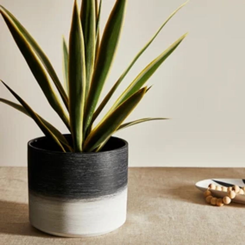 Textured Ceramic Plant Pot