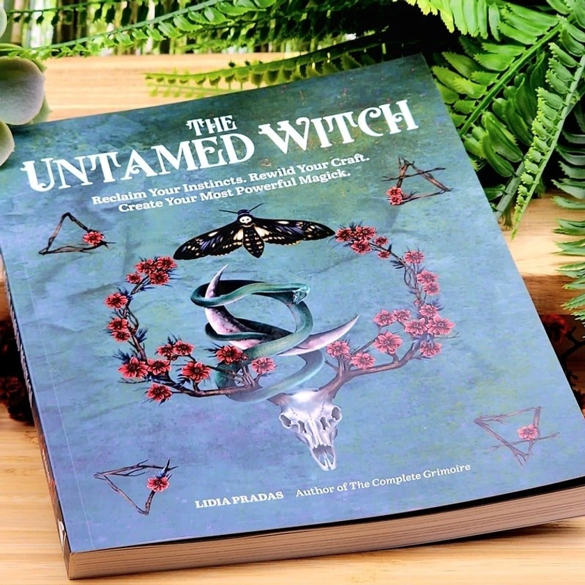 The Untamed Witch by Lidia Pradas