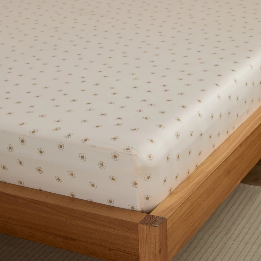 Eden Cotton - Daisy Print Fitted Sheet