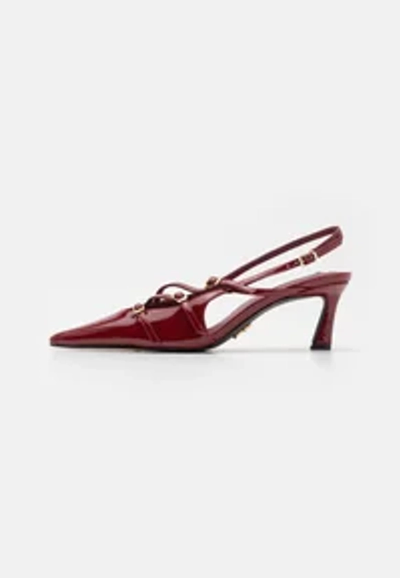 Steve Madden LIANA - Escarpins - wine/bordeaux - ZALANDO.FR