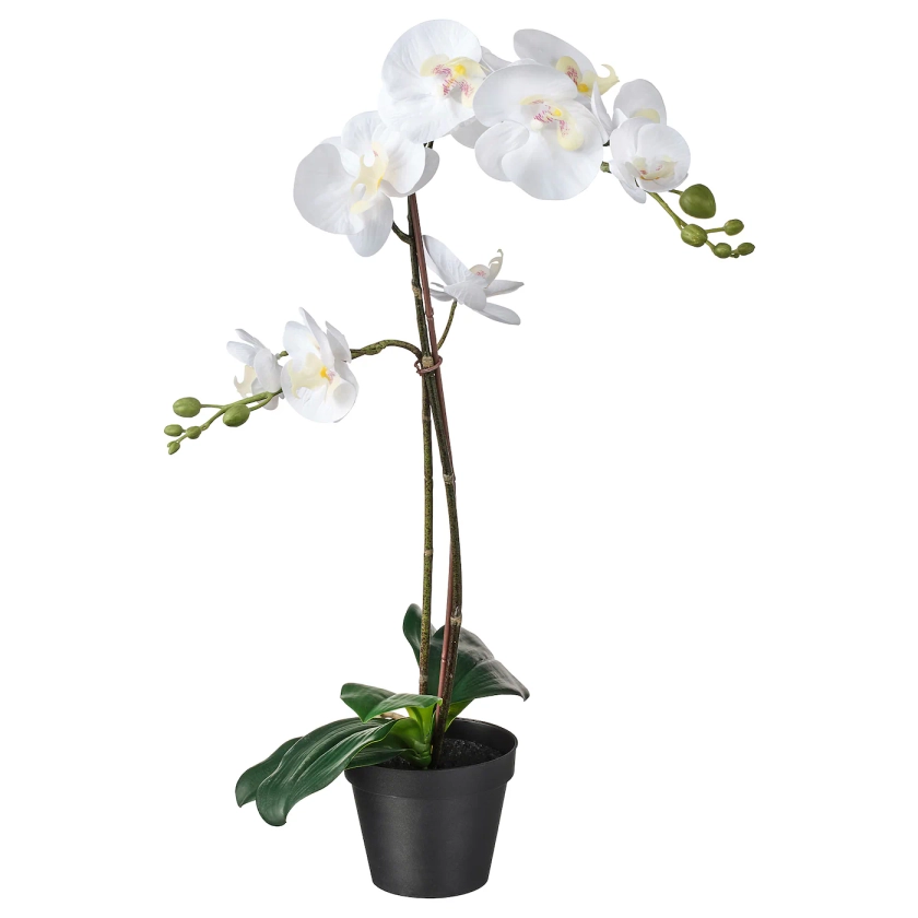 FEJKA Pianta artificiale con vaso - Orchidea bianco 12 cm