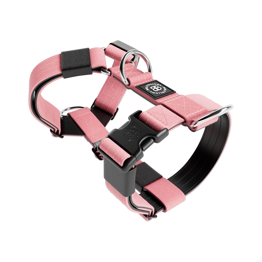 TRI-Harness® | Anti-Pull, Adjustable & Durable - Dog Trainers Choice - – BullyBillows Europe