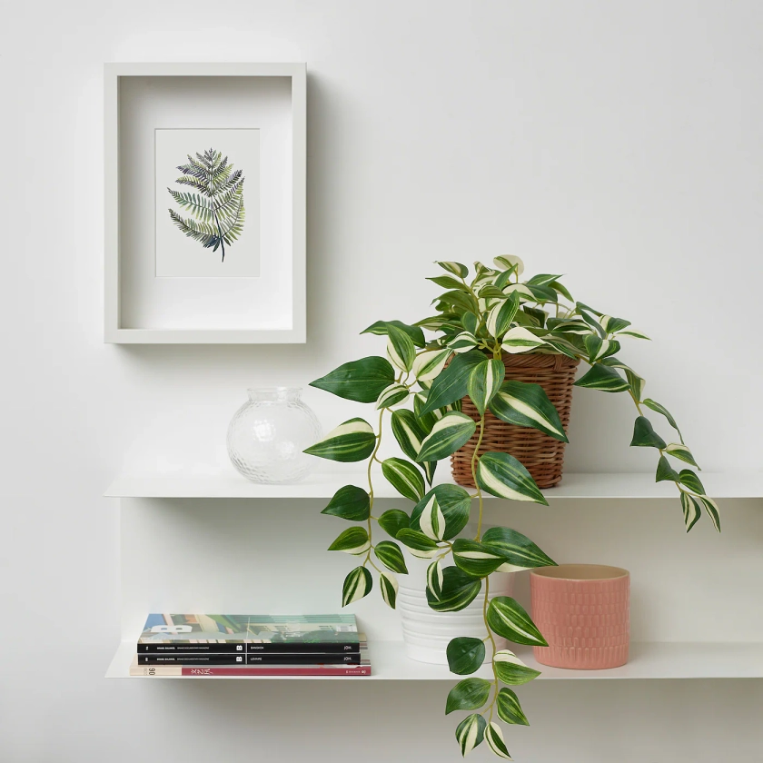 FEJKA plante artificielle en pot, intérieur/extérieur/tradescantia zebrina, 12 cm - IKEA