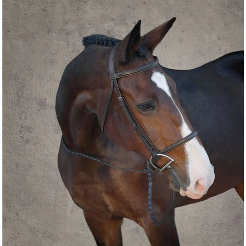 Suffolk™ Classic Hunter Bridle | Dover Saddlery