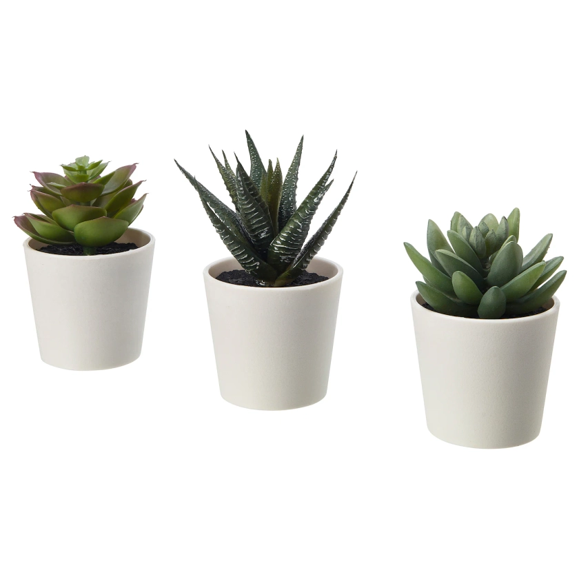 FEJKA Kunstplant met pot - binnen/buiten Succulent 6 cm 3 st.