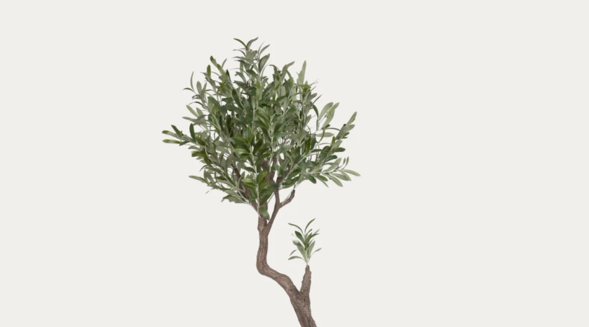 Plante artificielle Olivo avec pot noir 140 cm | Kave Home®