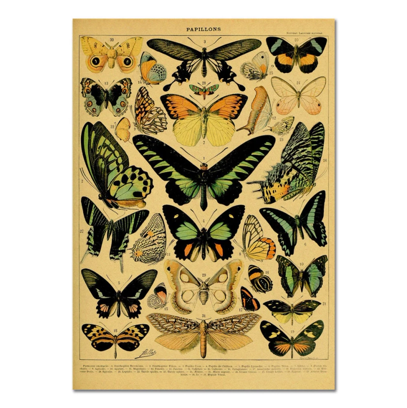 Papillons Kraft Paper Poster - Shop Online on roomtery